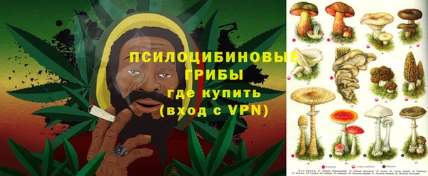 ГАЛЛЮЦИНОГЕННЫЕ ГРИБЫ Алексин